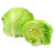 Iceberg Lettuce / 圆生菜 - 1个